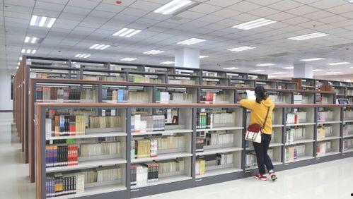 兰州图书馆爆料案件最新,真相揭开，疑云散去